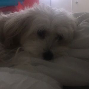 Meet your Posher, Michela